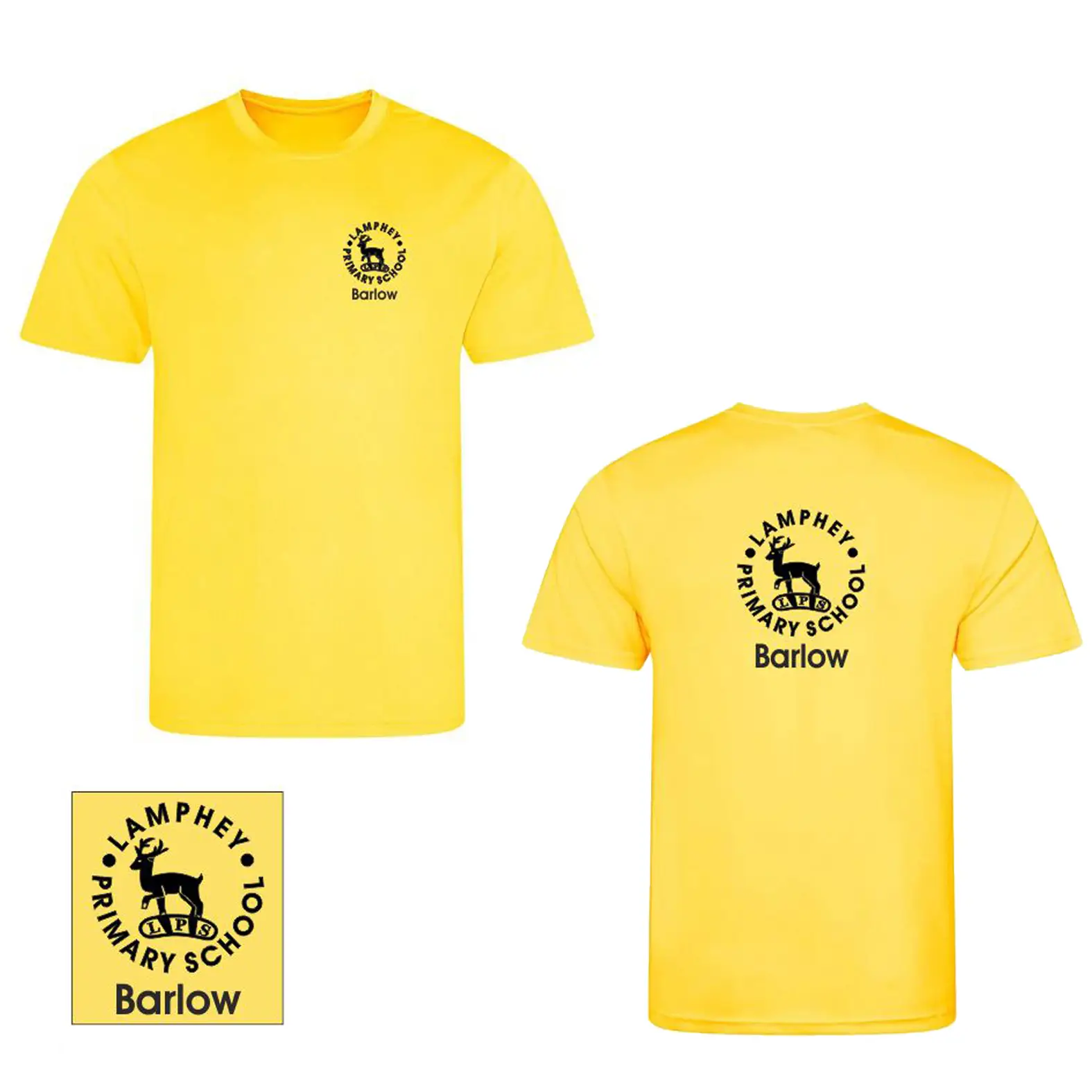 lamphey yellow.jpg lamphey yellow.jpg